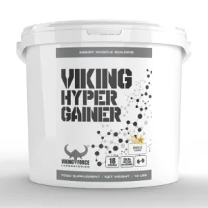 viking hyper gainer | هایپر گینر وایکینگ