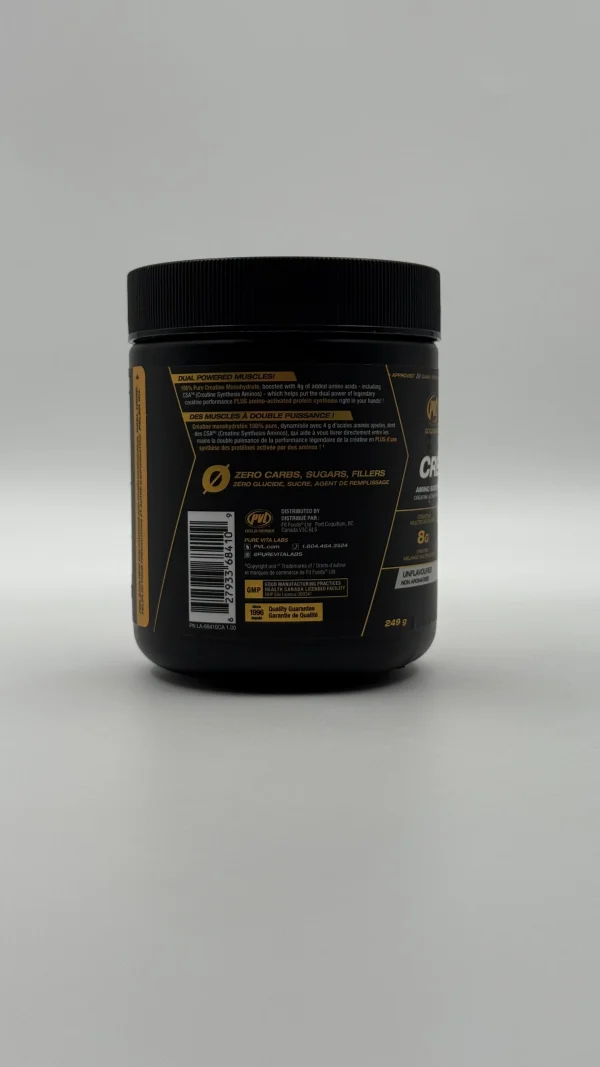 کراتین ایکس 8 پی وی ال | PVL Creatine X8 - تصویر 3